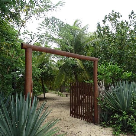 Jungle House Hotell São Miguel do Gostoso Eksteriør bilde