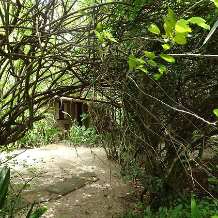Jungle House Hotell São Miguel do Gostoso Eksteriør bilde