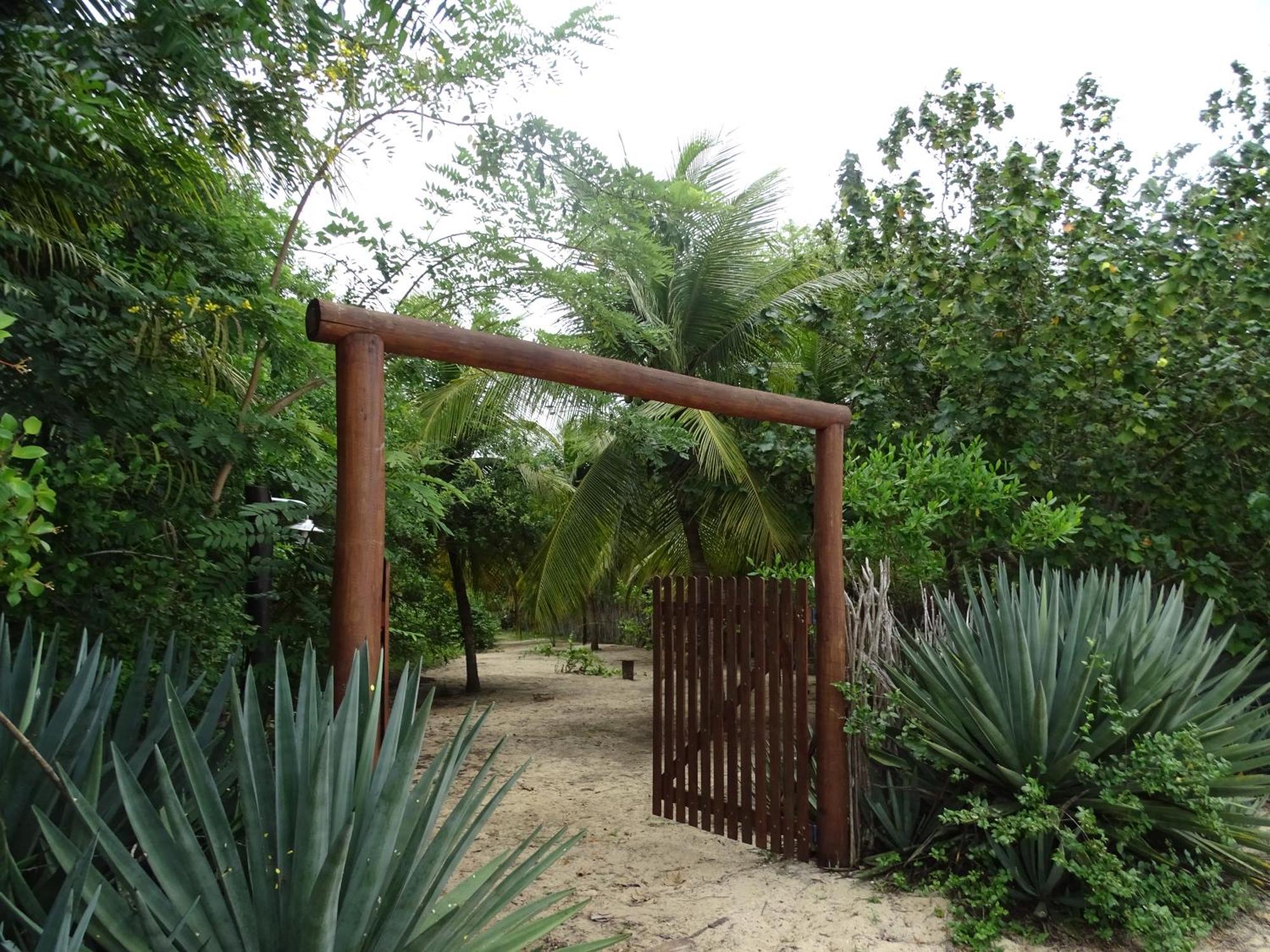 Jungle House Hotell São Miguel do Gostoso Eksteriør bilde