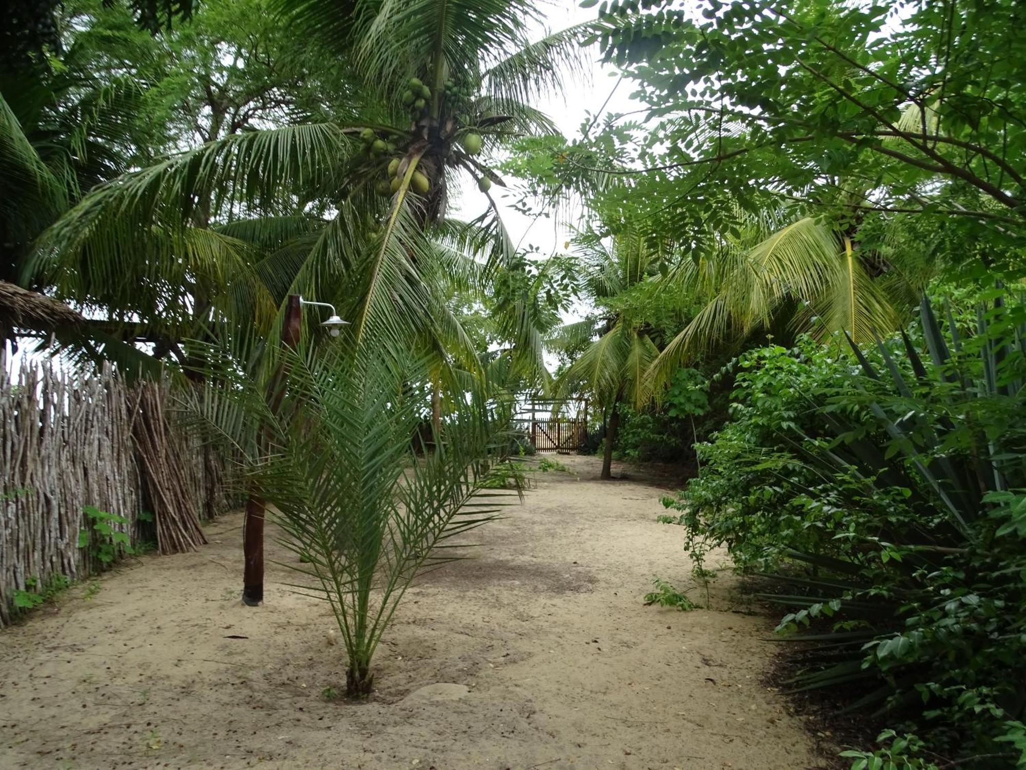 Jungle House Hotell São Miguel do Gostoso Eksteriør bilde