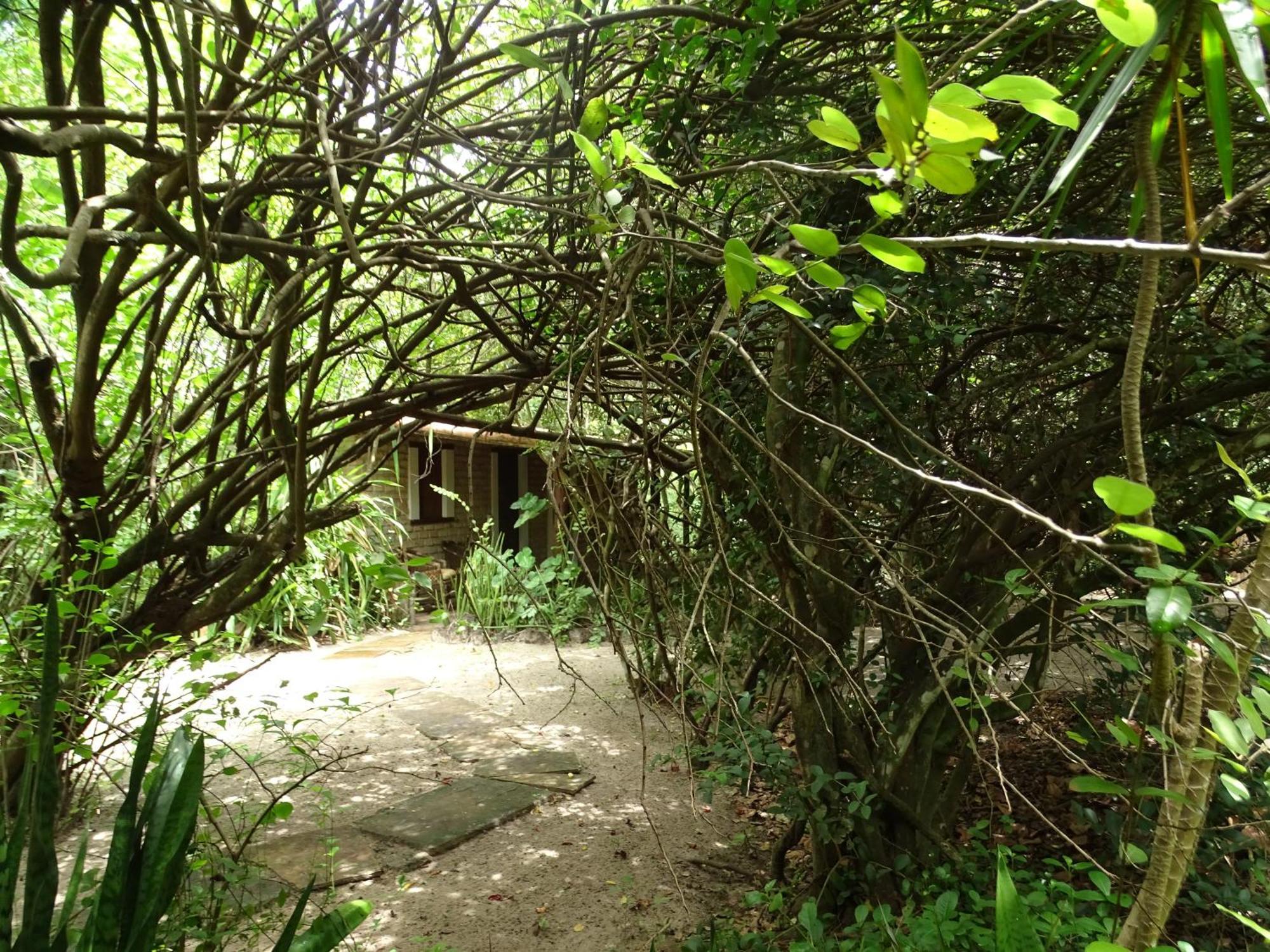 Jungle House Hotell São Miguel do Gostoso Eksteriør bilde