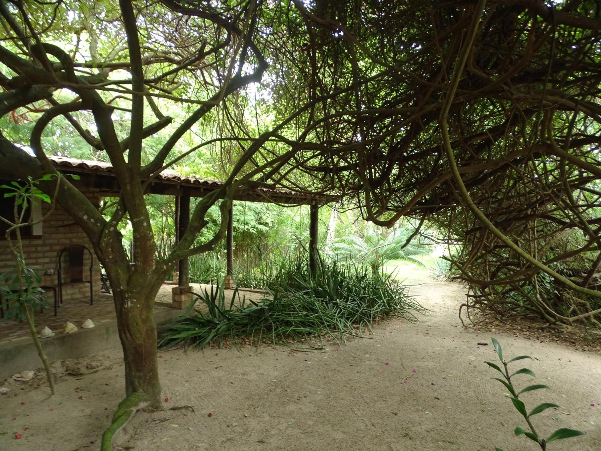 Jungle House Hotell São Miguel do Gostoso Eksteriør bilde
