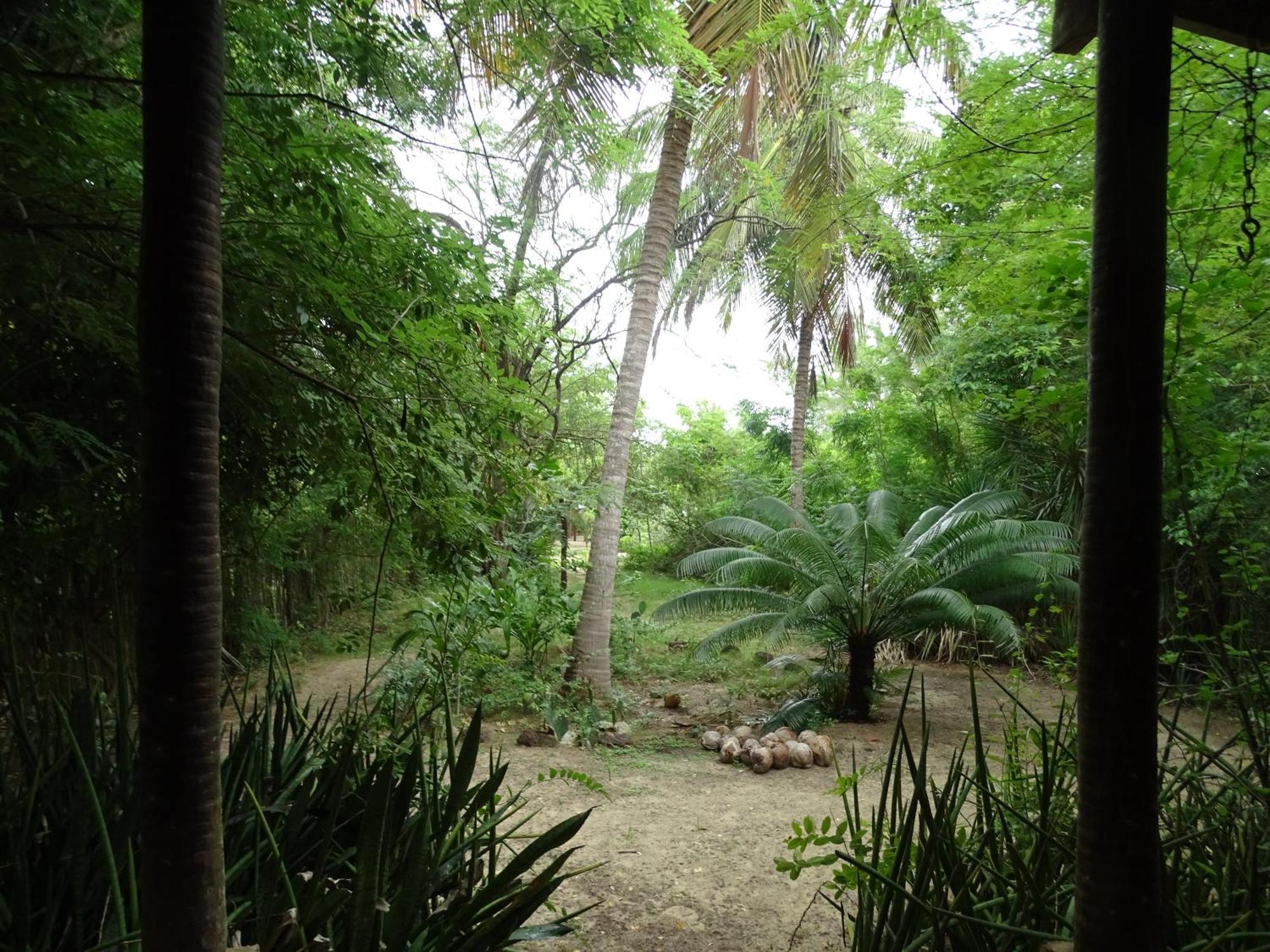 Jungle House Hotell São Miguel do Gostoso Eksteriør bilde